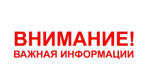  28.07.2025  11.30       :
