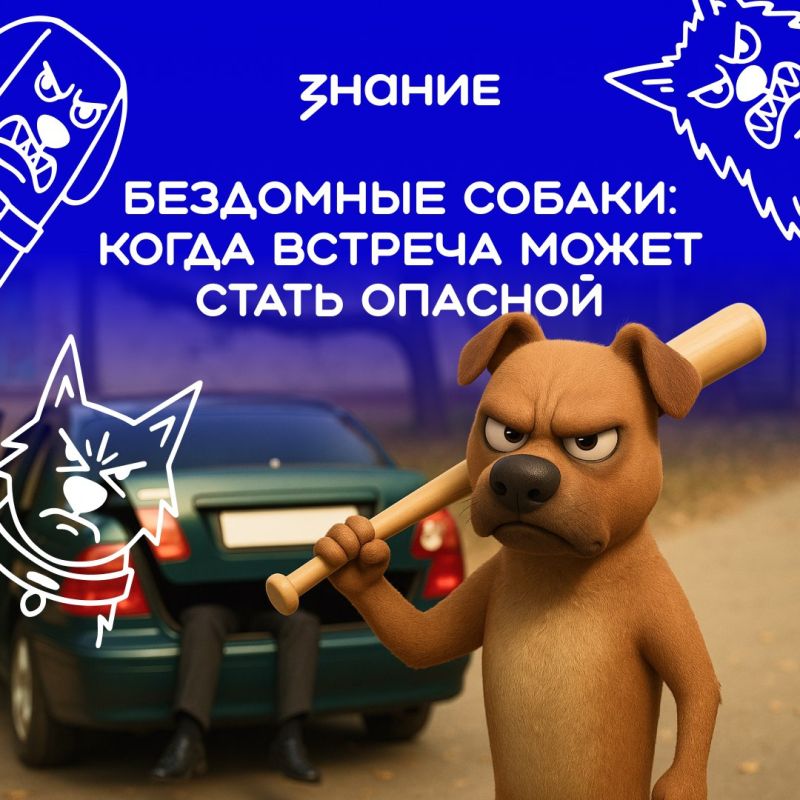 Бездомных собак можно встретить во многих городах нашей страны