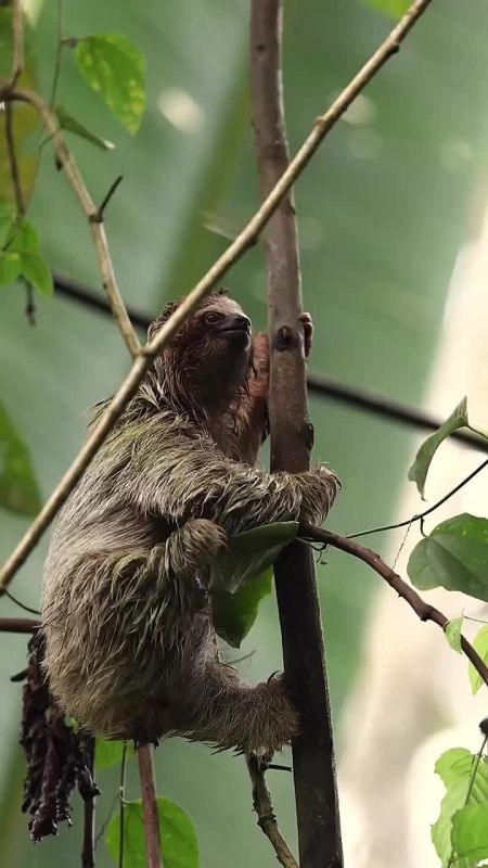 Спокойной ночи, Мариуполь!