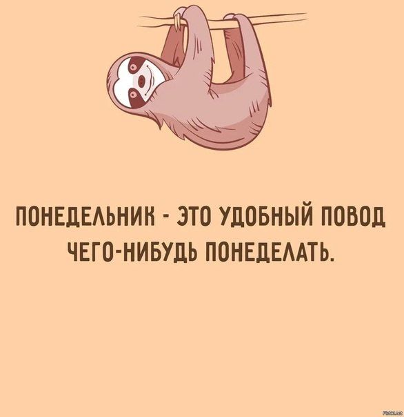 Минутка юмора