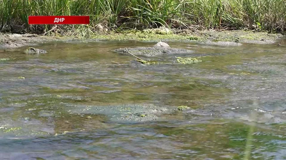 Оценка масштаба необходимых работ и состояния реки Кальчик