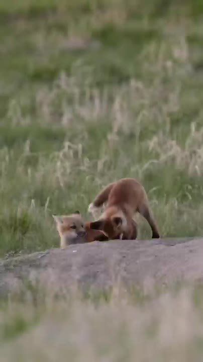 С добрым утром, Мариуполь!