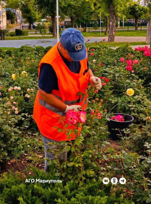 «Зеленстрой» благоустраивает парковые зоны «Зеленстрой» благоустраивает парковые зоны