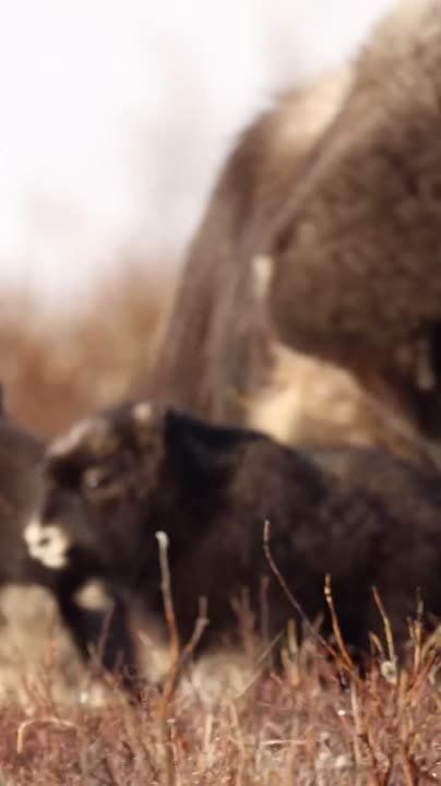 Спокойной ночи, Мариуполь!