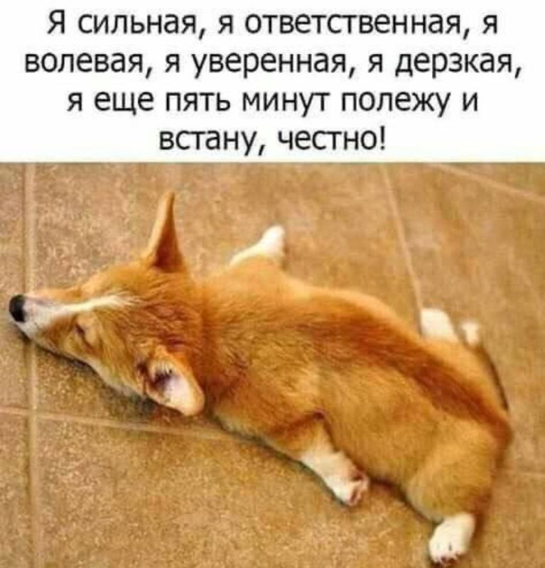 Минутка юмора