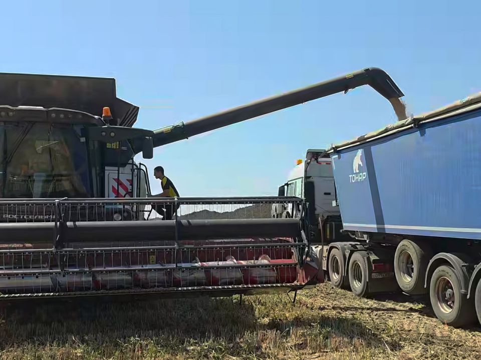 На полях Мангушского округа финиширует уборка ранних зерновых и зернобобовых культур