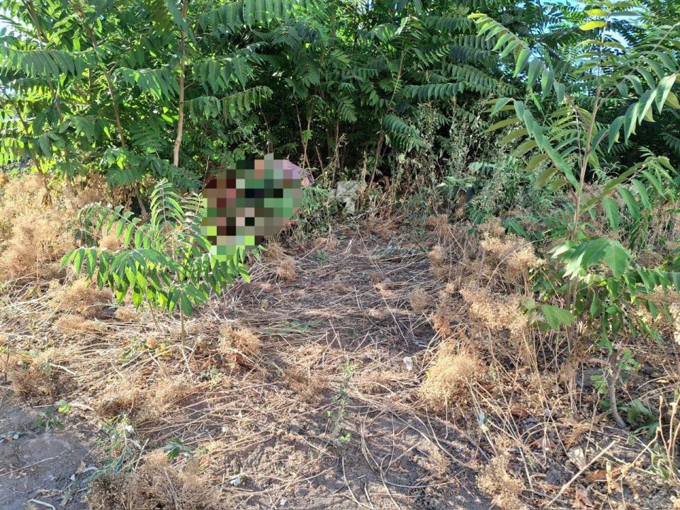 Благодаря слаженным действиям сотрудников СК и МВД по ДНР «по горячим следам» задержан мужчина, подозреваемый в убийстве