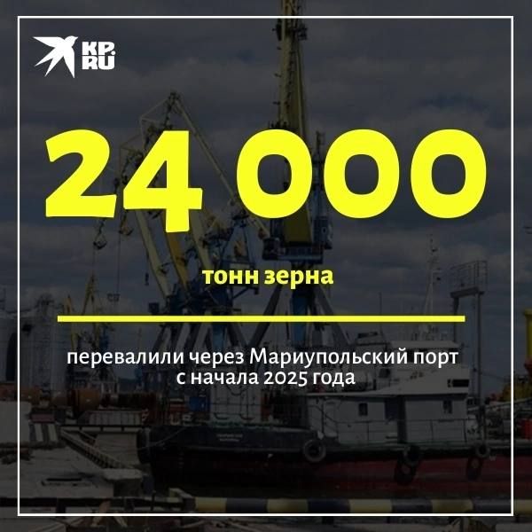 С начала 2025 года через Мариупольский порт перевалили 24 тысячи тонн зерновых культур