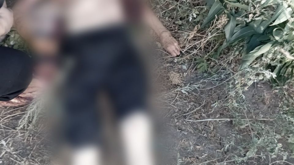 Правоохранители по горячим следам задержали убийцу, который нанес матери около 60 ножевых ранений