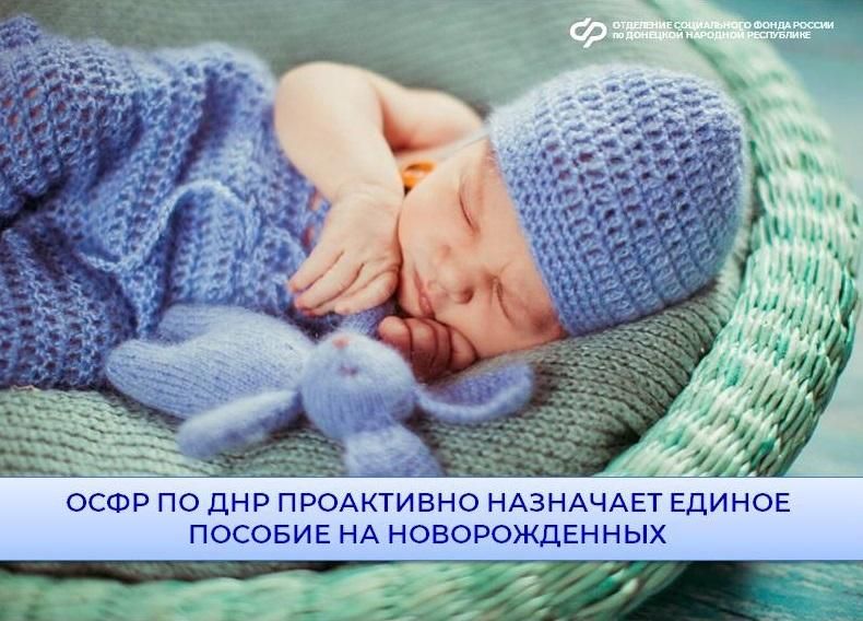 В ДНР единое пособие на новорожденного ребенка назначается проактивно