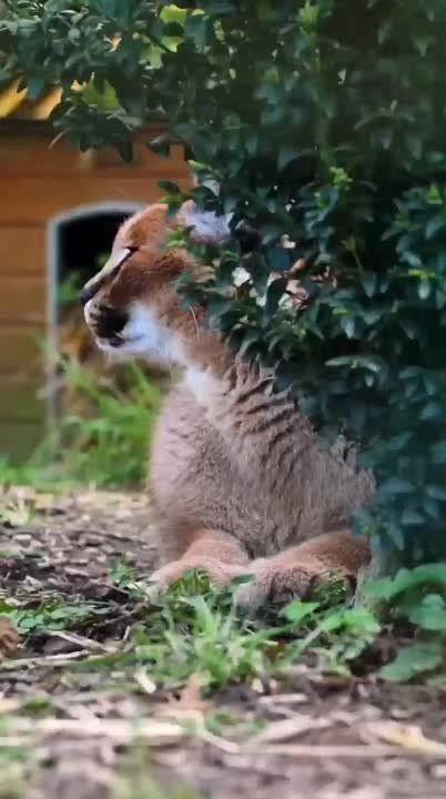  , !. , ,   !    ,     ,       