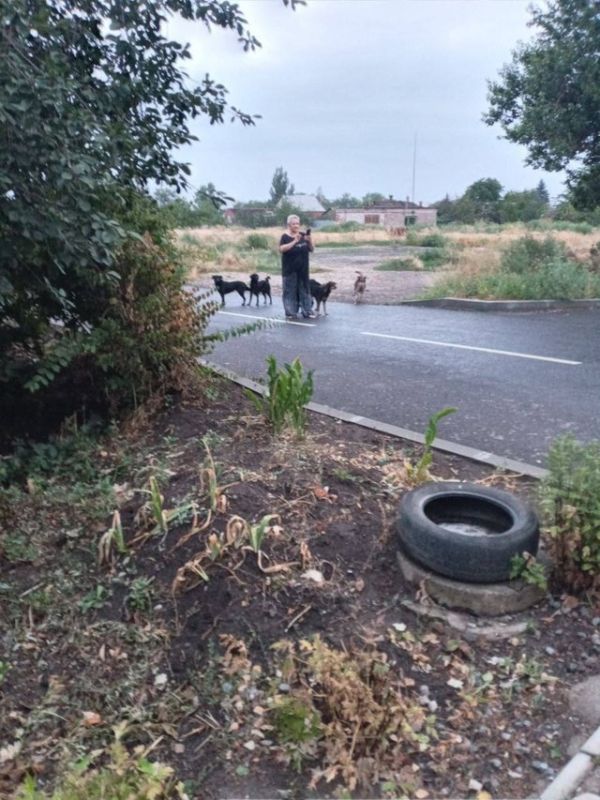 Злые псы пьяной хозяйки порвали жителя Мариуполя Злые псы пьяной хозяйки порвали жителя Мариуполя