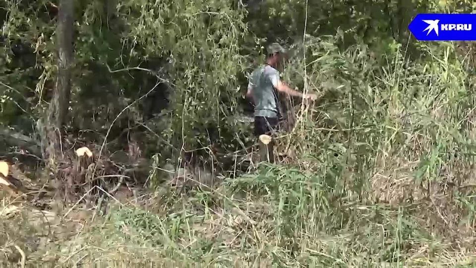 «Продолжаем работы по увеличению притоков воды»: В ДНР расчищают русло реки Кальмиус