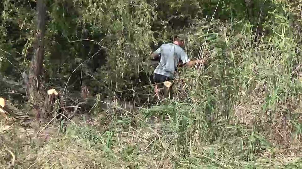 Дошли до Старобешево: расчистка русла реки Кальмиус от камыша и мусора продолжается