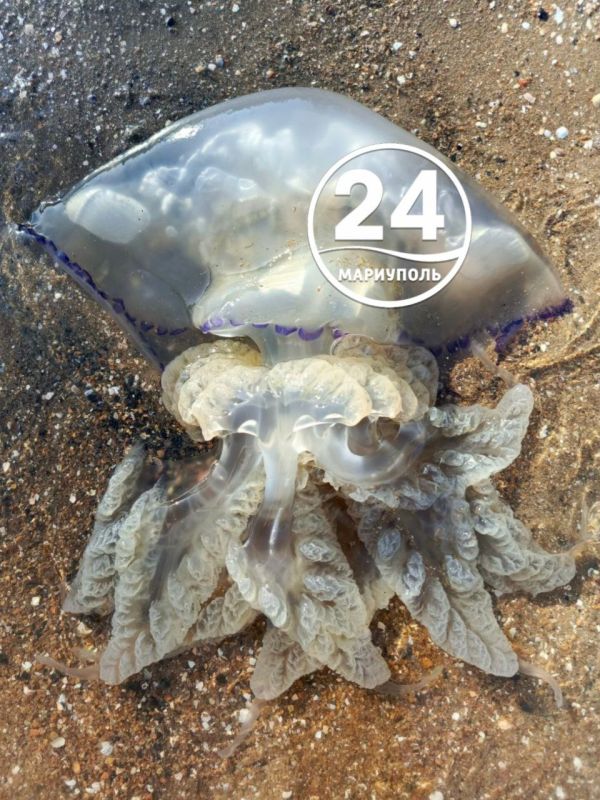      ,      ,               ,    ...