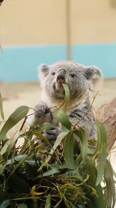  , !. , ,   !    ,     ,       