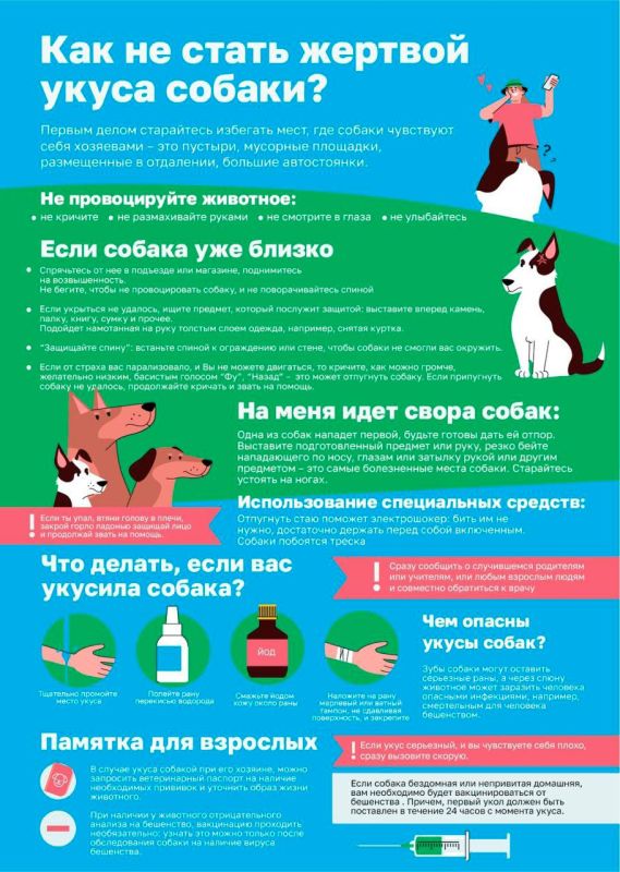 Памятка на тему: как реагировать, когда на встречу идет стая собак?