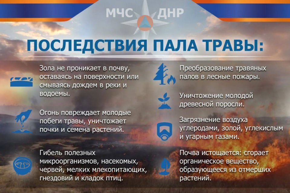 МЧС России по ДНР напоминает о запрете пала сухой травы и его тяжелых последствиях