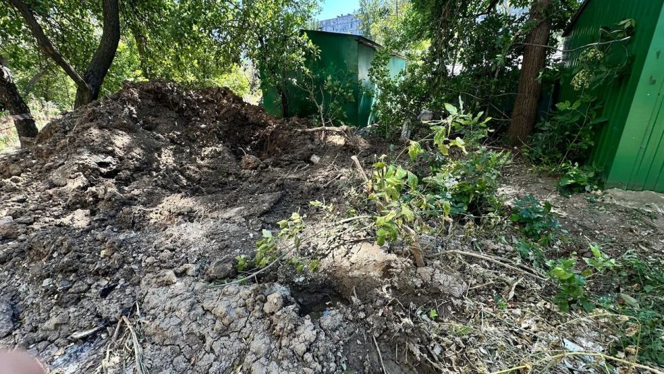  :     :    ,     -  ,    ,         