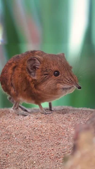  , !. , ,   !    ,     ,       