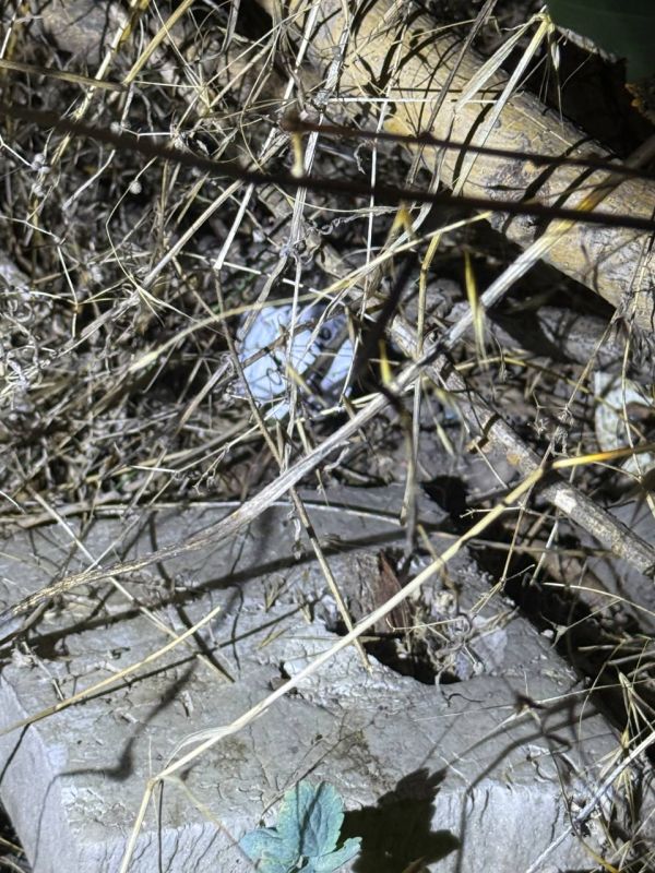 В Мариуполе полицейские пресекли попытку незаконного сбыта наркотиков В Мариуполе полицейские пресекли попытку незаконного сбыта наркотиков