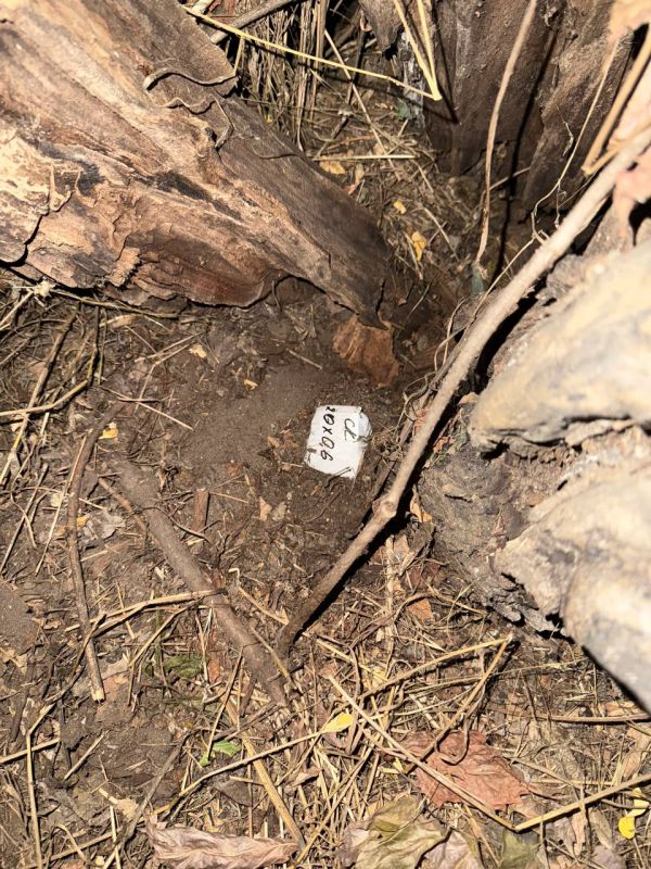 В Мариуполе полицейские пресекли попытку незаконного сбыта наркотиков