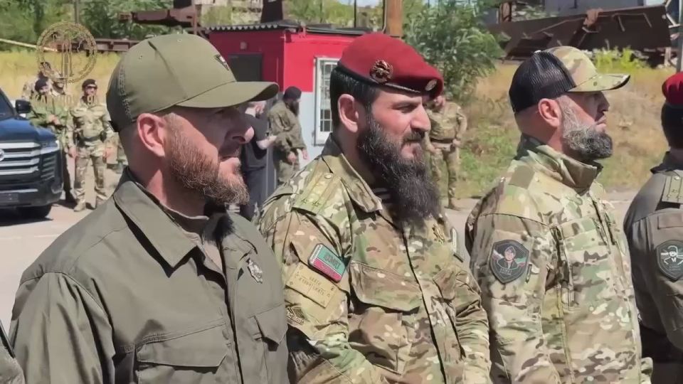  :       ,  ,  , -   ,        , ...