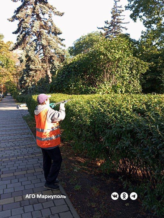 В Мариуполе рабочие зеленого строительства облагораживают парковые зоны