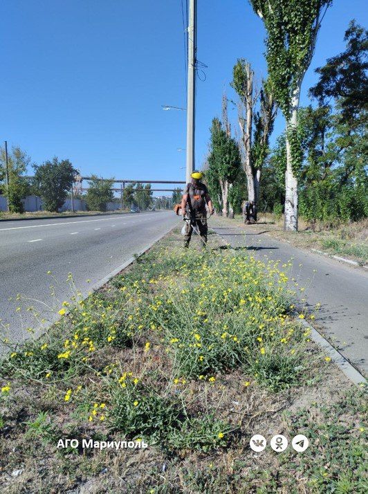 В Мариуполе рабочие зеленого строительства продолжают покос растительности