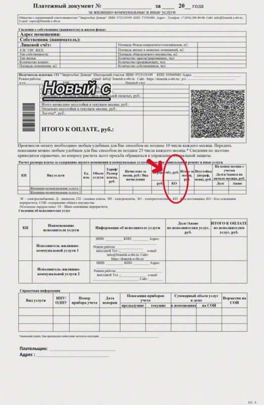   2025  &quot; &quot;       ()