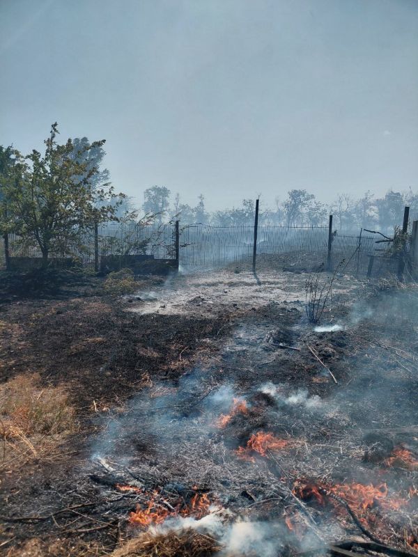 Последствия пожара на Левобережье Последствия пожара на Левобережье
