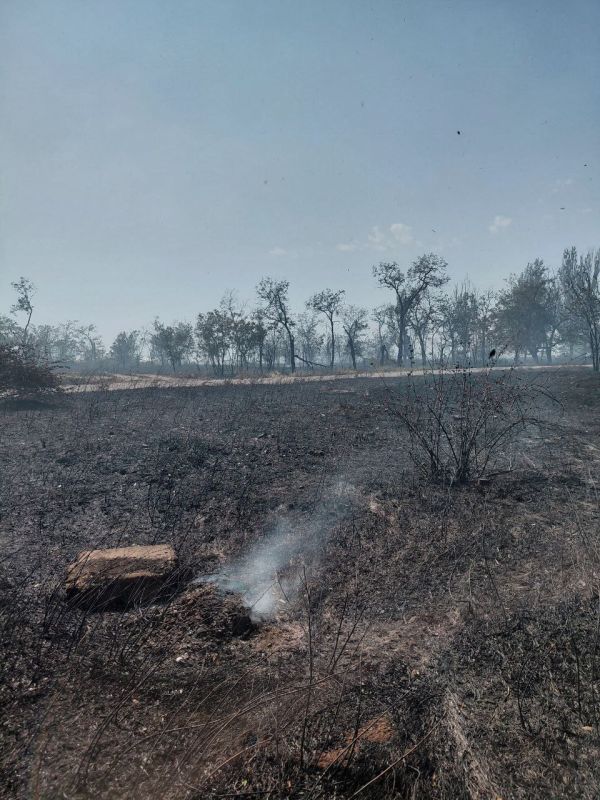 Последствия пожара на Левобережье Последствия пожара на Левобережье