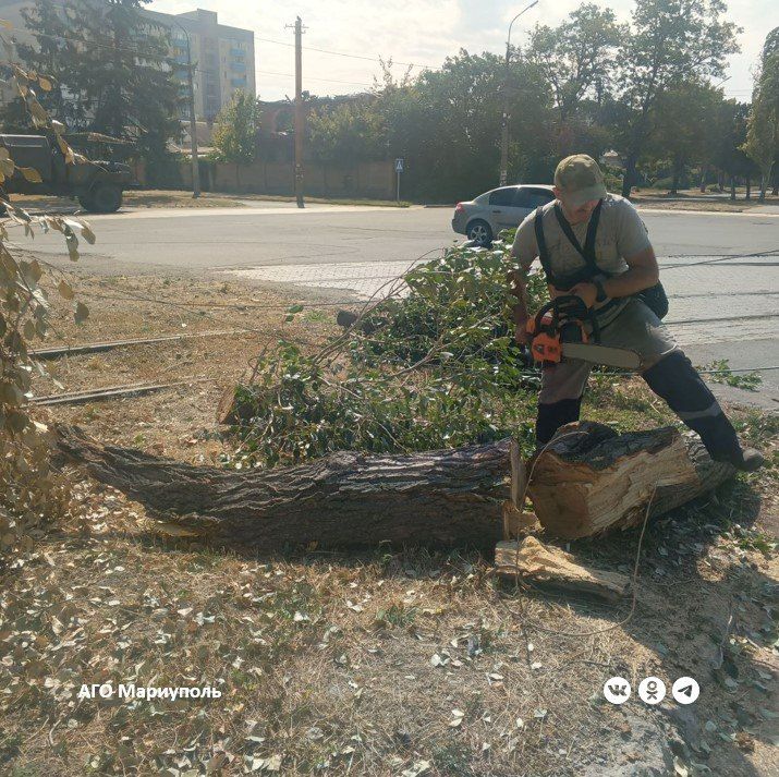 В Мариуполе рабочие зеленого строительства ликвидируют последствия штормового ветра