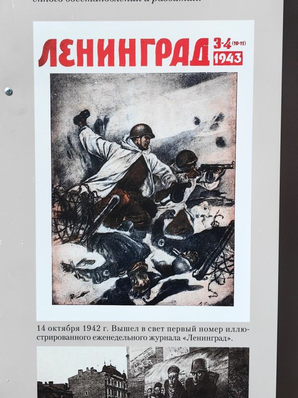         -        ..      腻