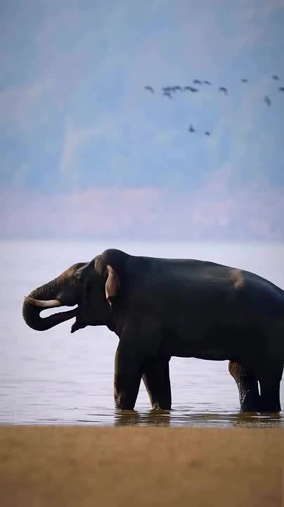 Спокойной ночи, Мариуполь!