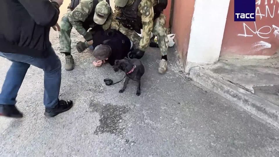 ФСБ совместно с Росгвардией по подозрению в госизмене задержали в Воронеже россиянина, переводившего средства в криптовалюте ГУР МО Украины, сообщили в ЦОС ФСБ России