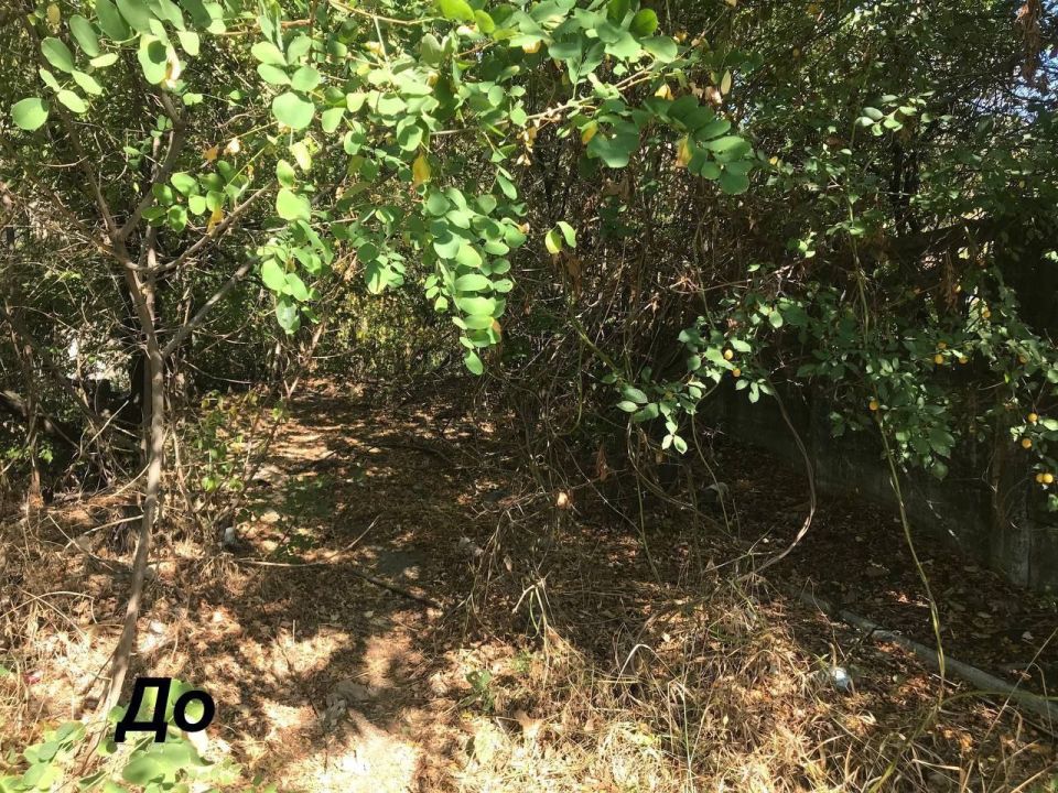 Субботник «Чистый родник» состоялся! Субботник «Чистый родник» состоялся!