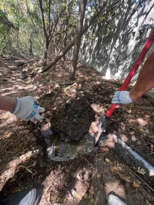 Субботник «Чистый родник» состоялся! Субботник «Чистый родник» состоялся!