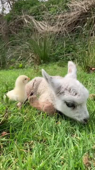 С добрым утром, Мариуполь!