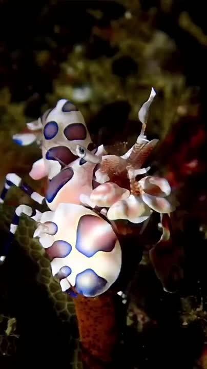 Спокойной ночи, Мариуполь!