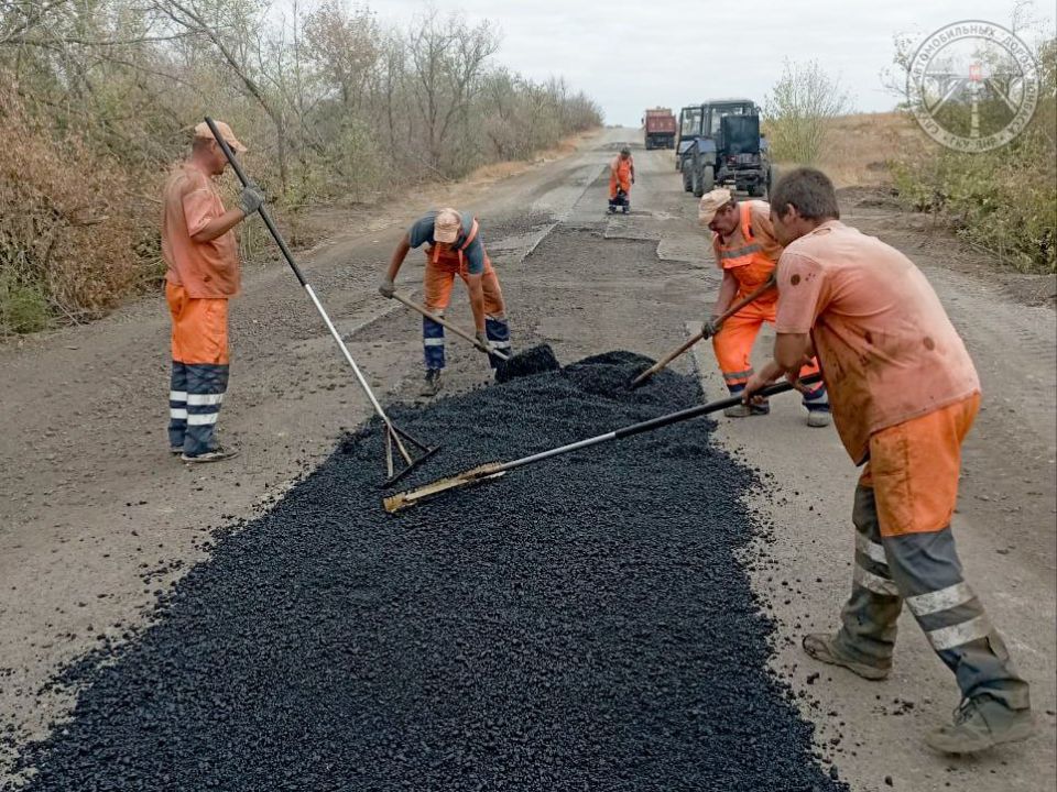 #свод_за_сутки #летнее_содержание #свод_за_сутки #летнее_содержание