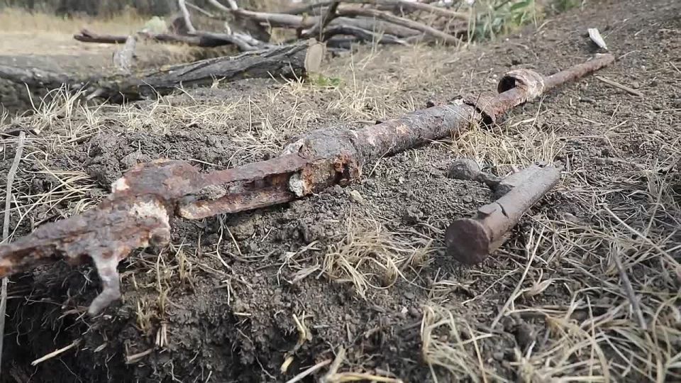 В ДНР росгвардейцы нашли артефакты времен Великой Отечественной войны