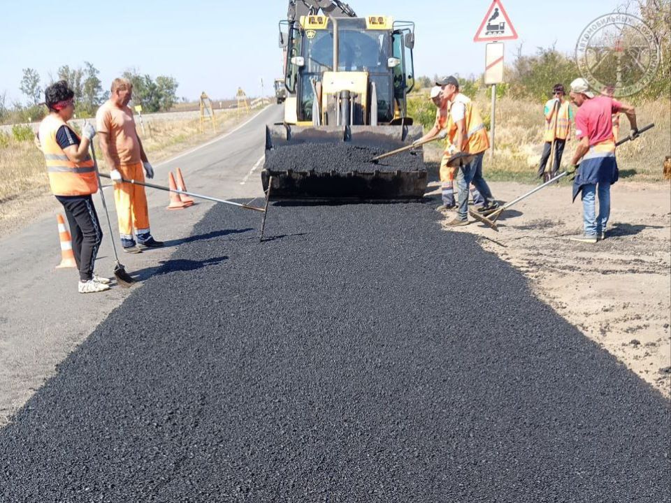 #свод_за_сутки #летнее_содержание #свод_за_сутки #летнее_содержание