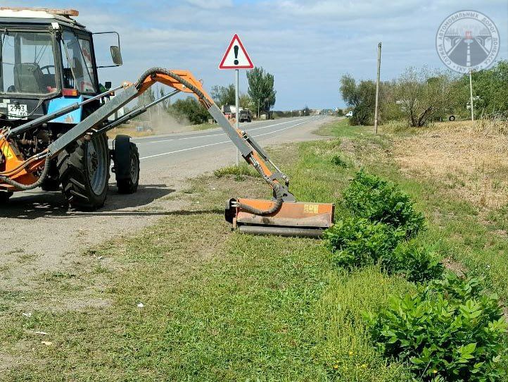 #свод_за_сутки #летнее_содержание #свод_за_сутки #летнее_содержание