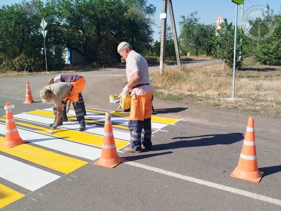 #свод_за_сутки #летнее_содержание #свод_за_сутки #летнее_содержание