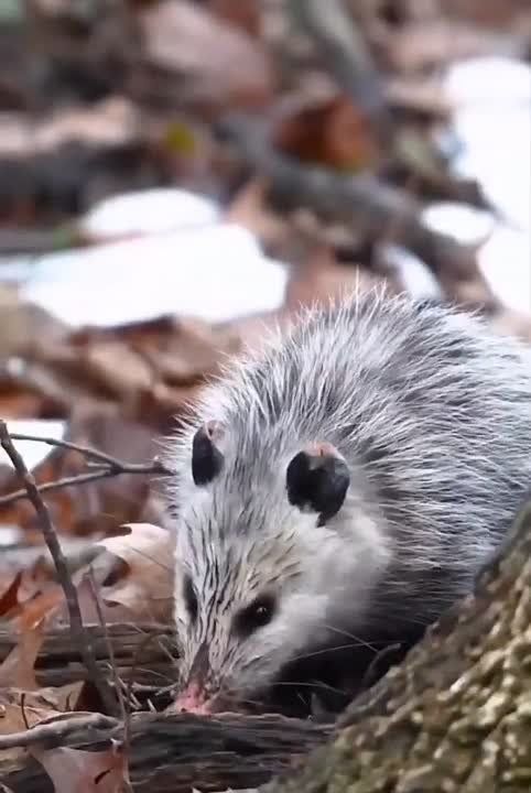 Спокойной ночи, Мариуполь!