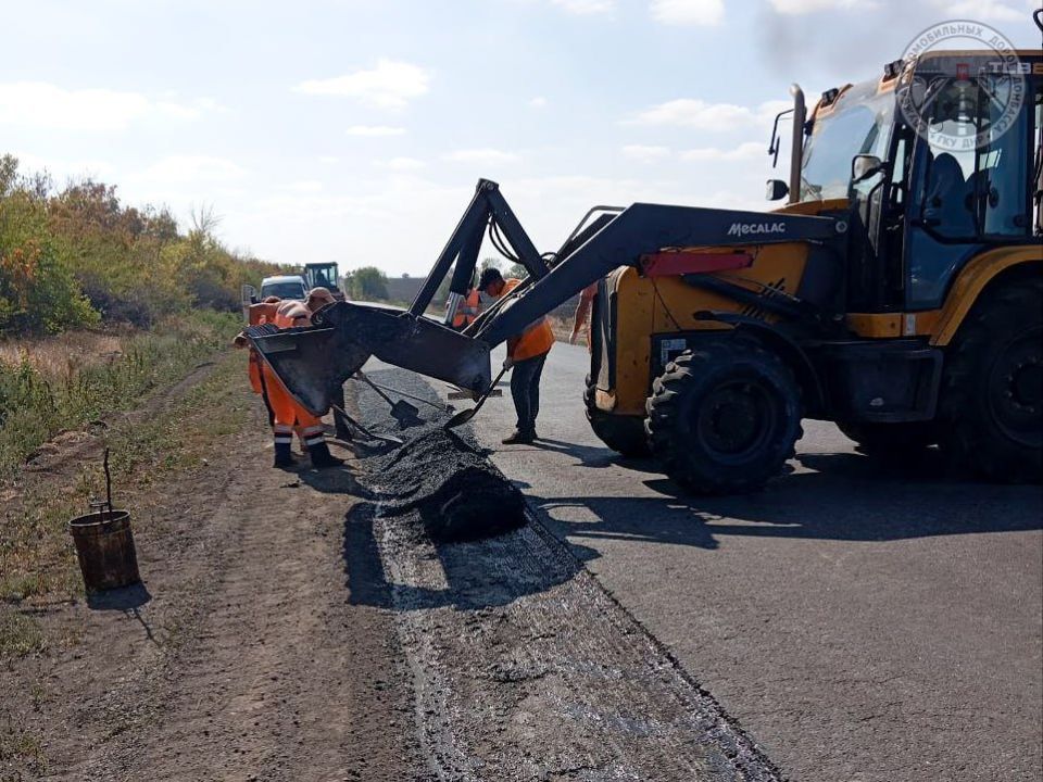 #свод_за_сутки #летнее_содержание #свод_за_сутки #летнее_содержание