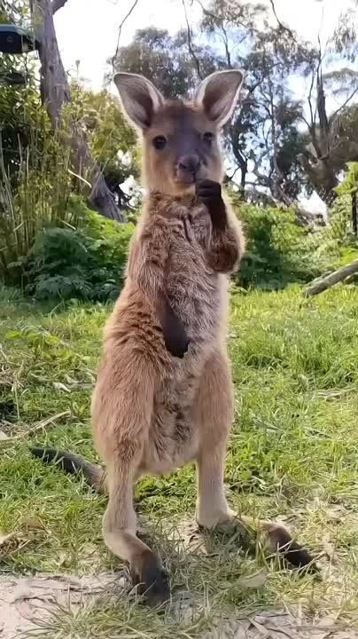 Доброе утро, Мариуполь!. Пусть этот день начнётся с хорошего настроения, доброй улыбки, вкусного завтрака и исполнения желаний