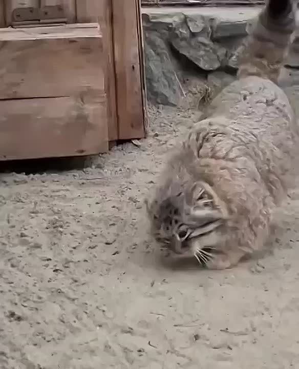 С добрым утром, Мариуполь!