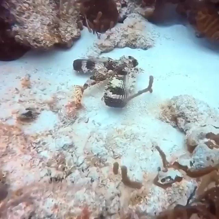 Спокойной ночи, Мариуполь!